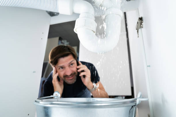 Best Local Plumber Services  in Seabrook, TX